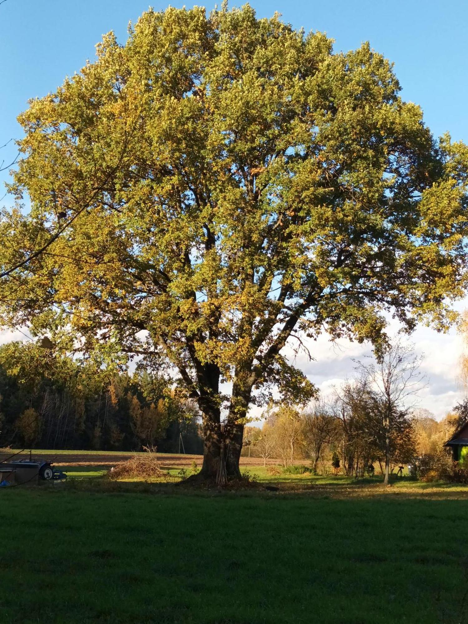 Malinada-Kaimo Sodyba Villa Salcininkai Bagian luar foto